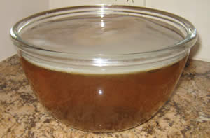 a scoby about a week old, in a 4 litre glass bowl in my kitchen - David