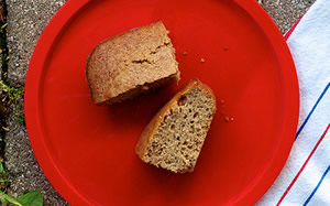 Slice of sourdough bread