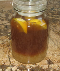 water kefir brewing in a jar